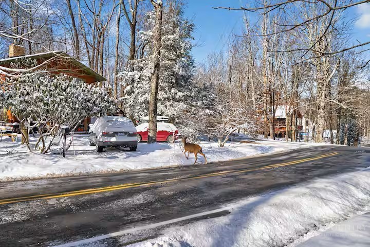 701 Charter Hills Road Beech Mountain, NC 28604 - Photo 32 of 33