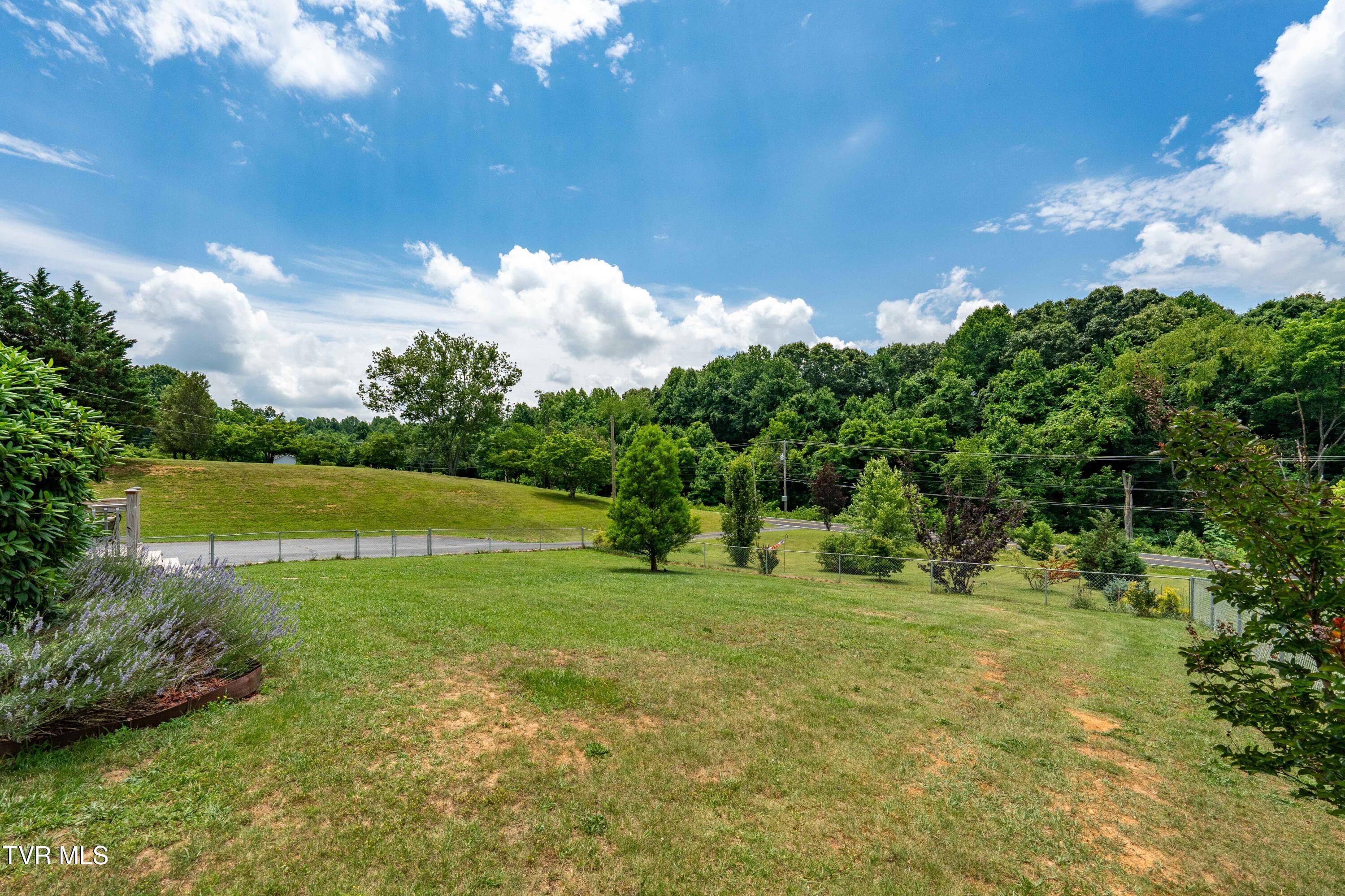 3433 Highway 81 Fall Branch, TN 37656 - Photo 41 of 61 3433 Highway 81 (38 of 81)