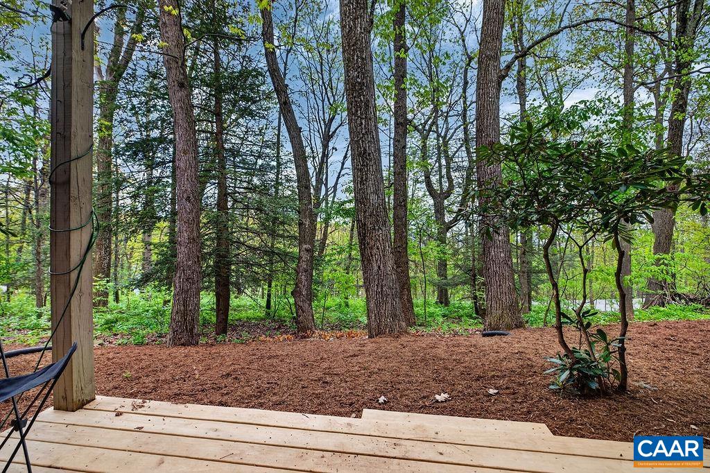 410 Three Ridges Roseland, VA 22967 - Photo 4 of 21 a view of a yard with plants and trees