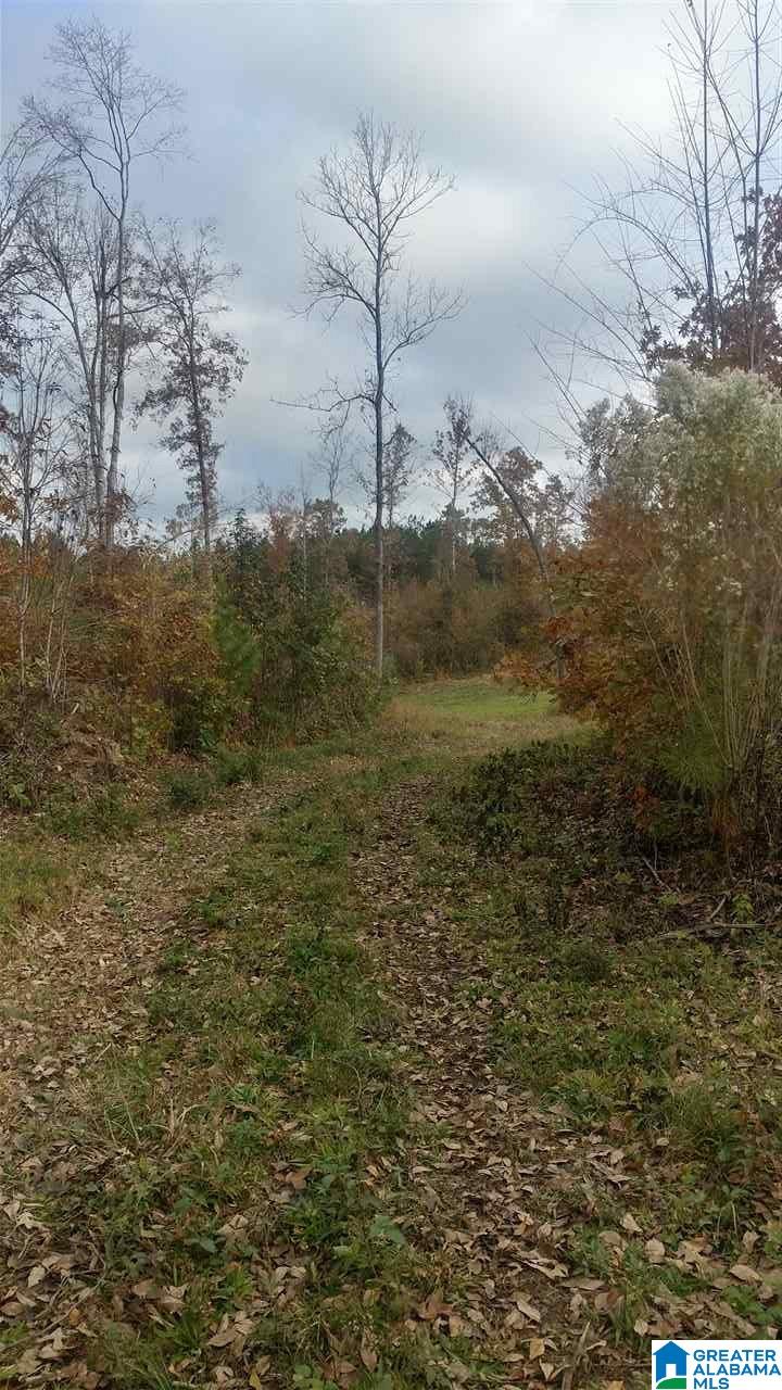 0 Bulldog Bend Road Brierfield, AL 35035 - Photo 22 of 32