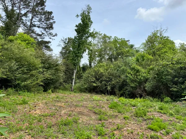 $89,900 | 1436 Claxton Avenue, Elba, AL 36323