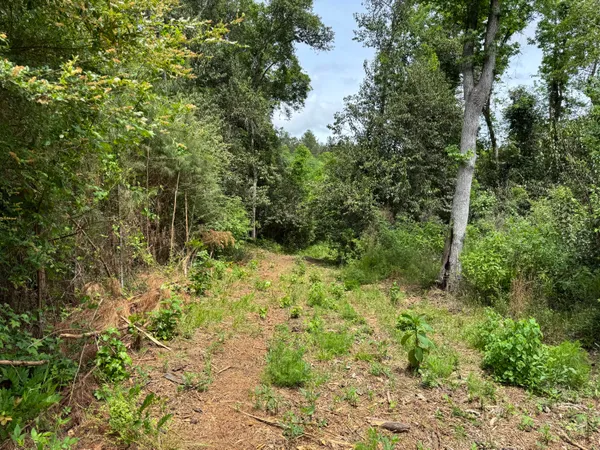 $89,900 | 1436 Claxton Avenue, Elba, AL 36323