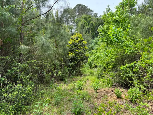 $89,900 | 1436 Claxton Avenue, Elba, AL 36323