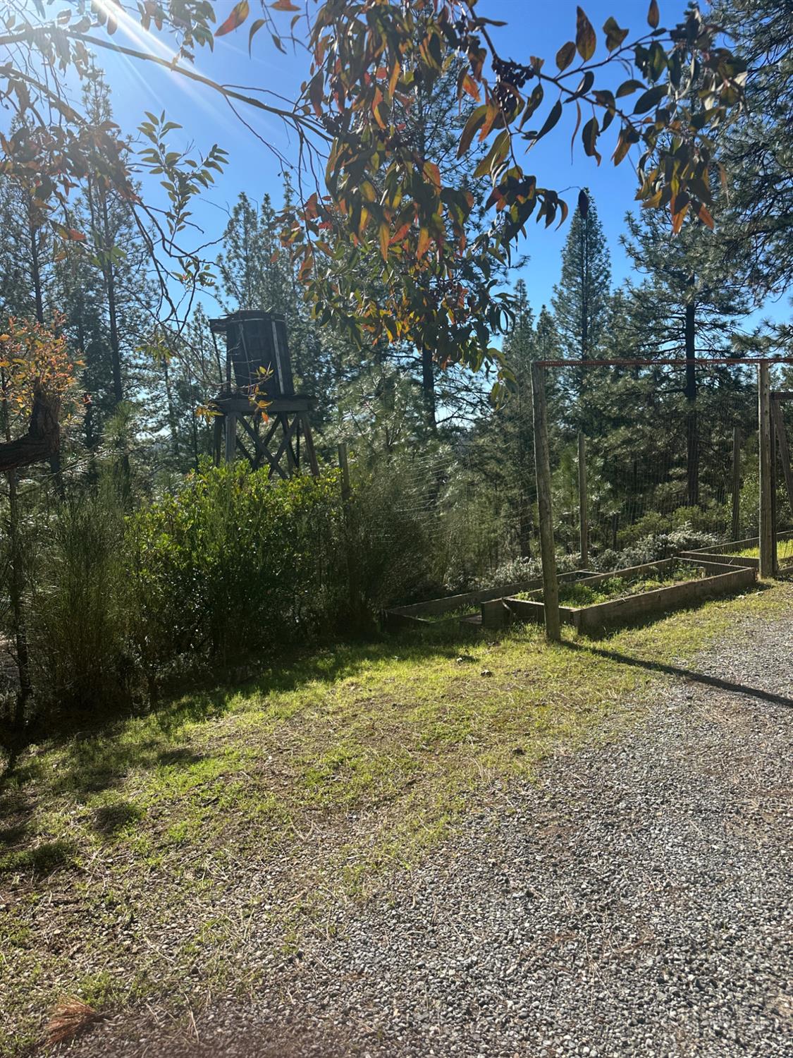 4961 Cedar Ravine Road Placerville, CA 95667 - Photo 26 of 28
