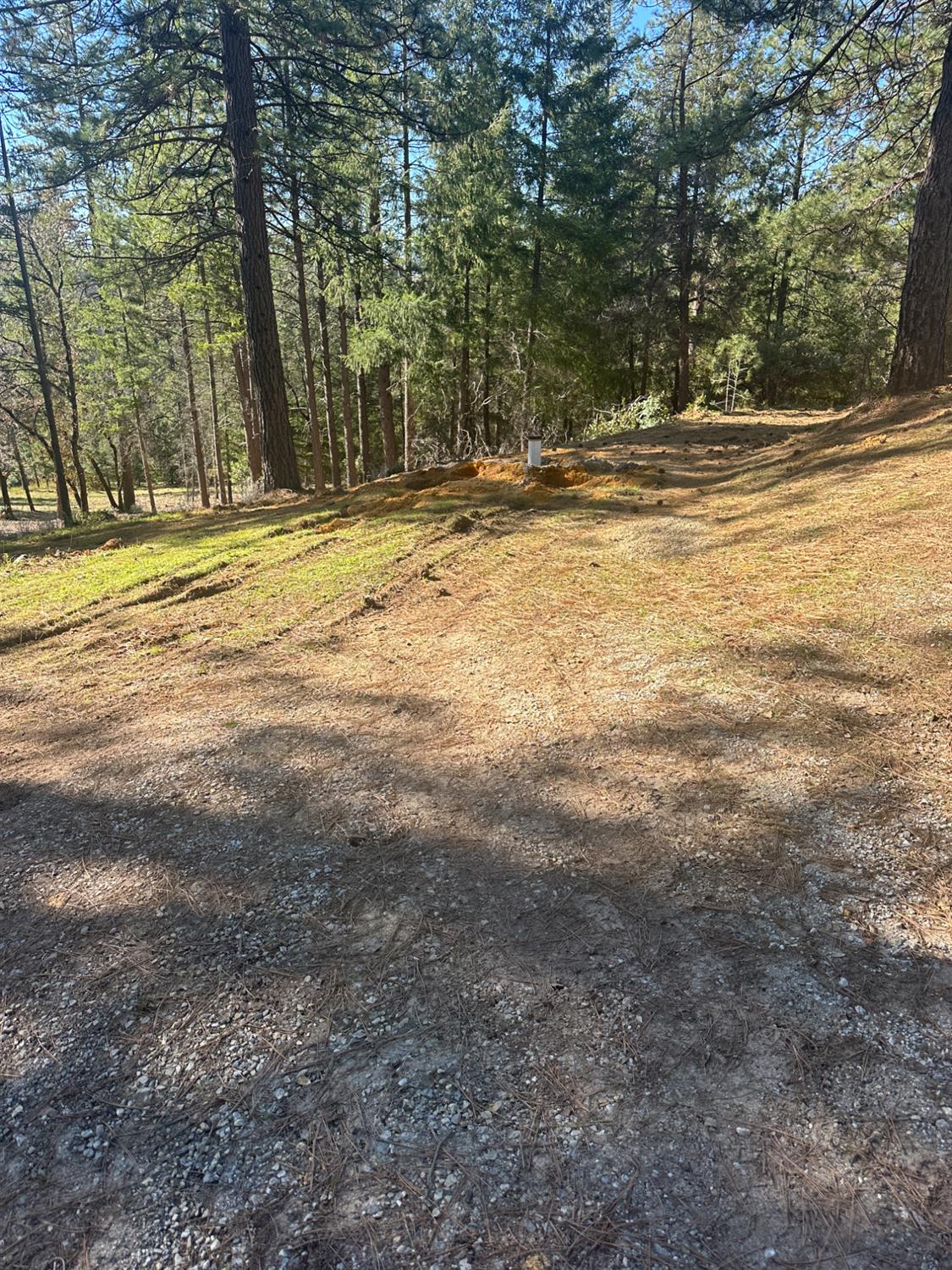 4961 Cedar Ravine Road Placerville, CA 95667 - Photo 28 of 28