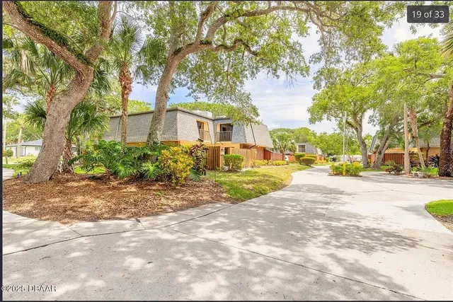 a view of road with large trees