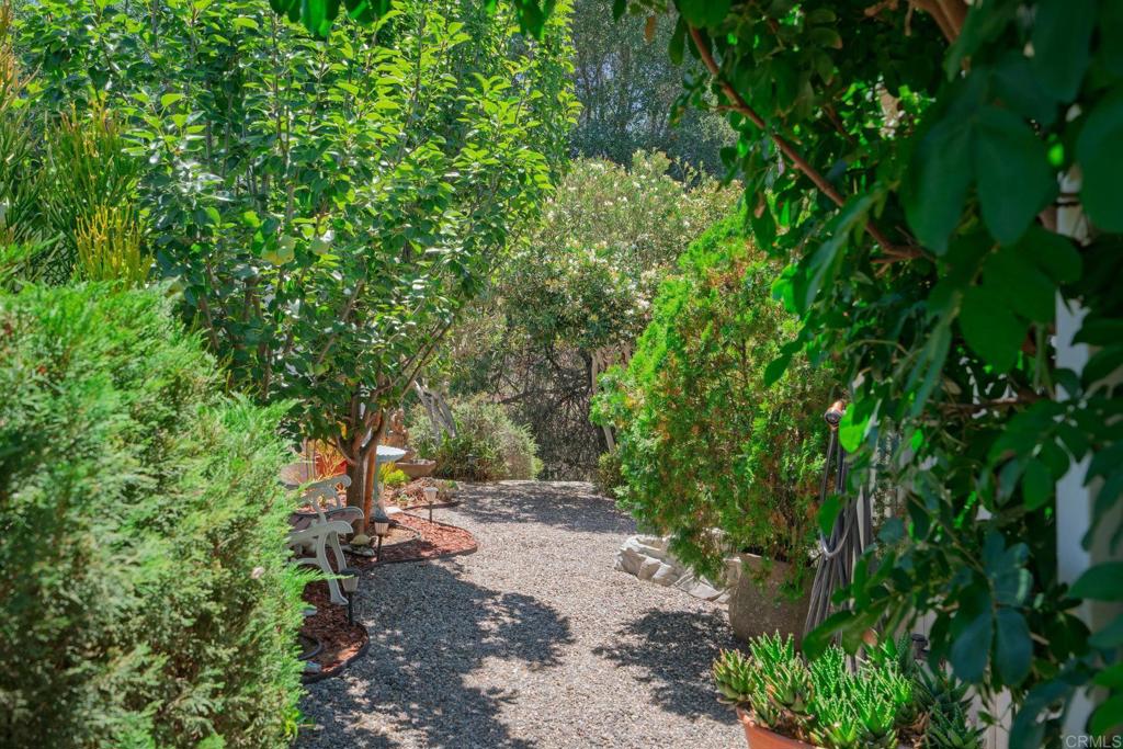 3519 Cherrybrook Court Fallbrook, CA 92028 - Photo 59 of 66 MORE FRUIT TREES!