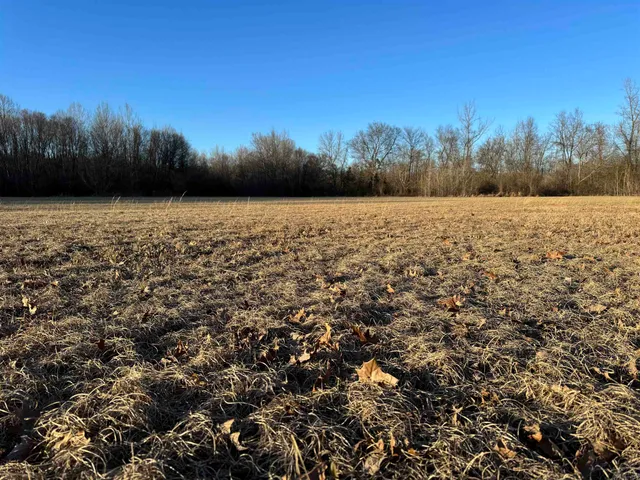 $199,000 | 0 Highway 125 Highway, Toone, TN 38381