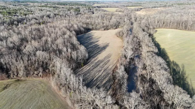 $199,000 | 0 Highway 125 Highway, Toone, TN 38381