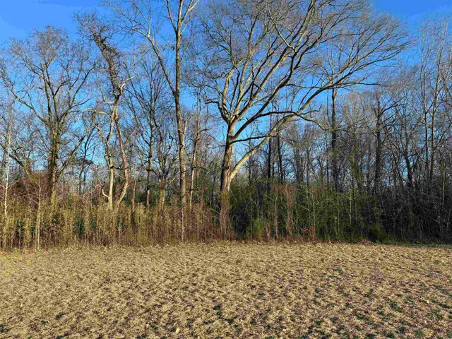 $199,000 | 0 Highway 125 Highway, Toone, TN 38381