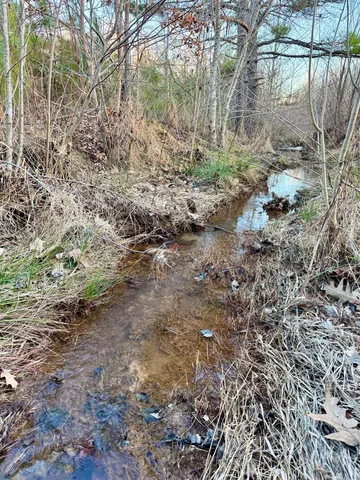 $199,000 | 0 Highway 125 Highway, Toone, TN 38381