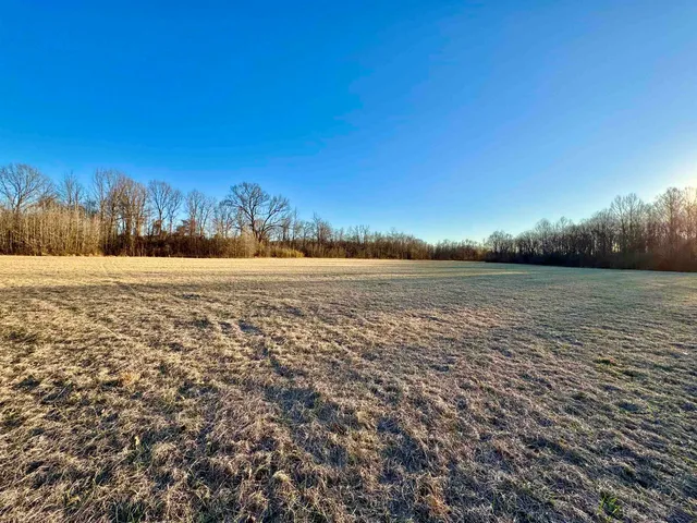 $199,000 | 0 Highway 125 Highway, Toone, TN 38381