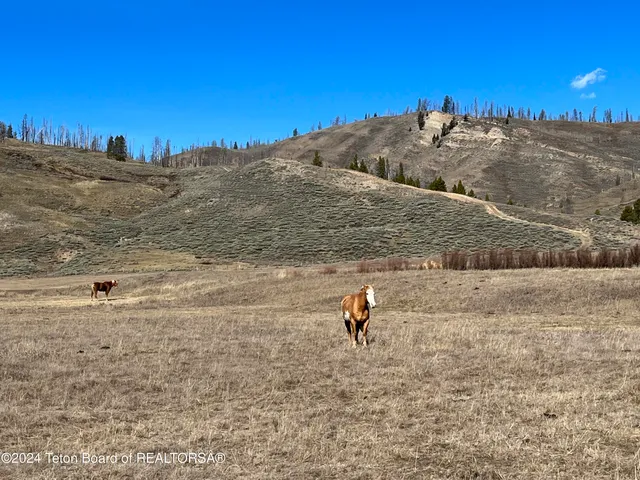 $3,700,000 | 35 Acres Bondurant Wy, Bondurant, WY 82922