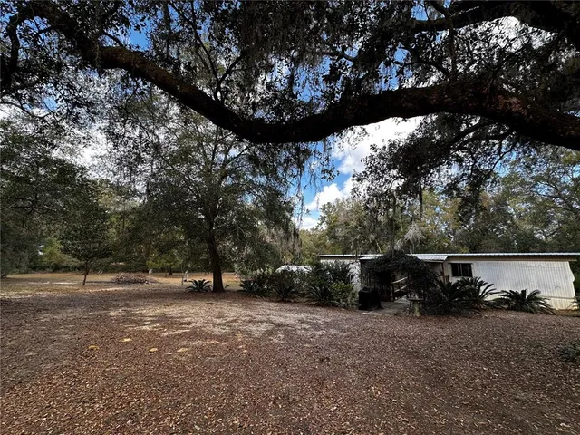 a view of street with large trees