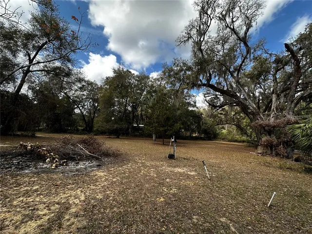 a view of outdoor space with trees