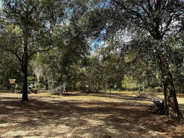 a view of road with trees