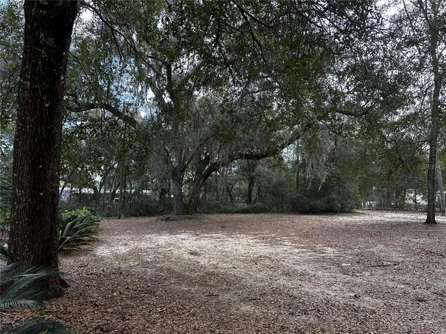 a backyard of a house with lots of green space