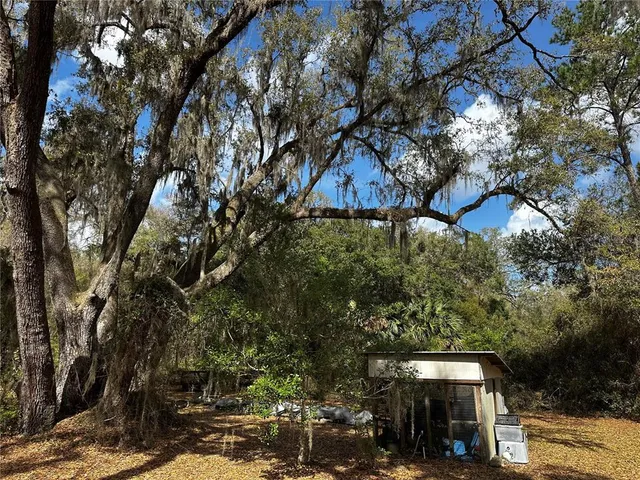 a view of outdoor space with trees