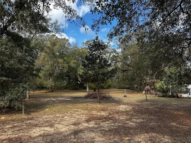 a view of street with trees