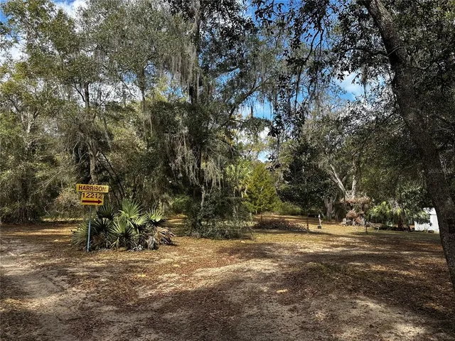 a view of outdoor space with trees