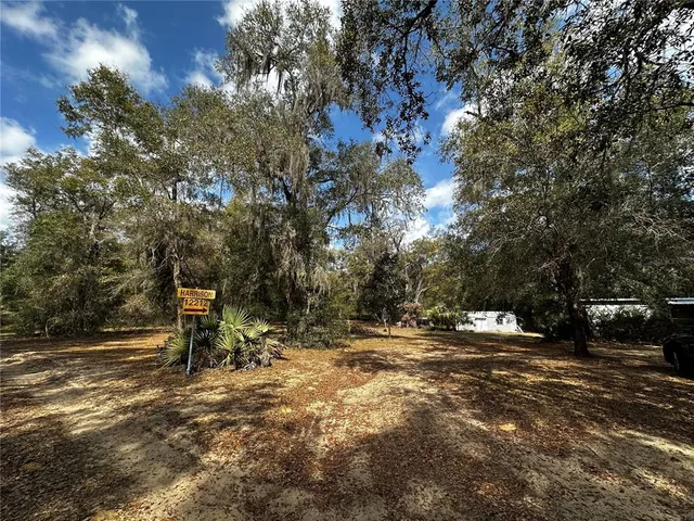 a view of outdoor space with trees