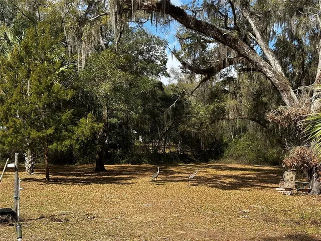 a view of outdoor space with trees