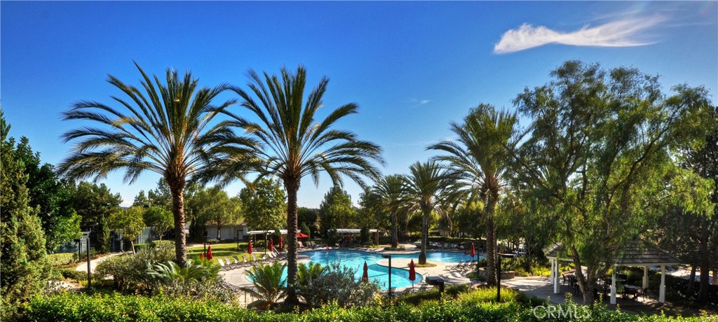 20 Becker Drive Ladera Ranch, CA 92694 - Photo 43 of 47 a row of palm trees and swimming pool