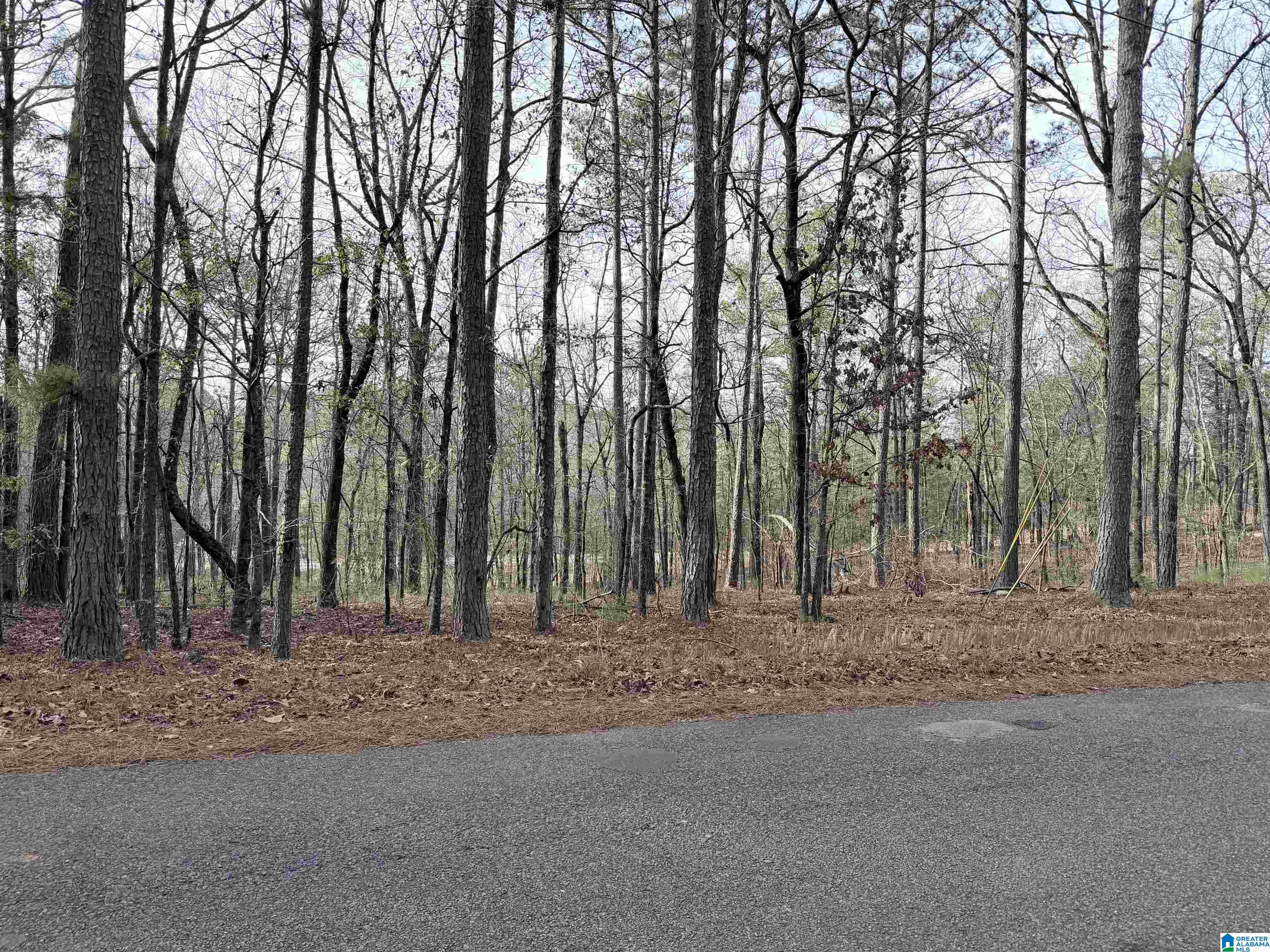 0 Renfroe Road, Unit 5 Alpine, AL 35014 - Photo 2 of 3