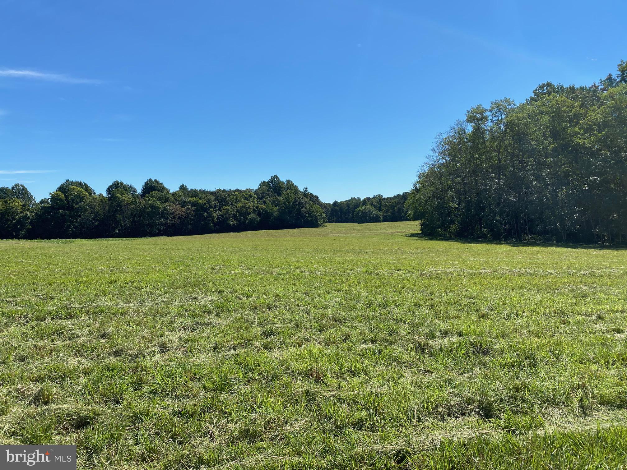 0 Locust Grove Road Bowling Green, VA 22427 - Photo 1 of 3