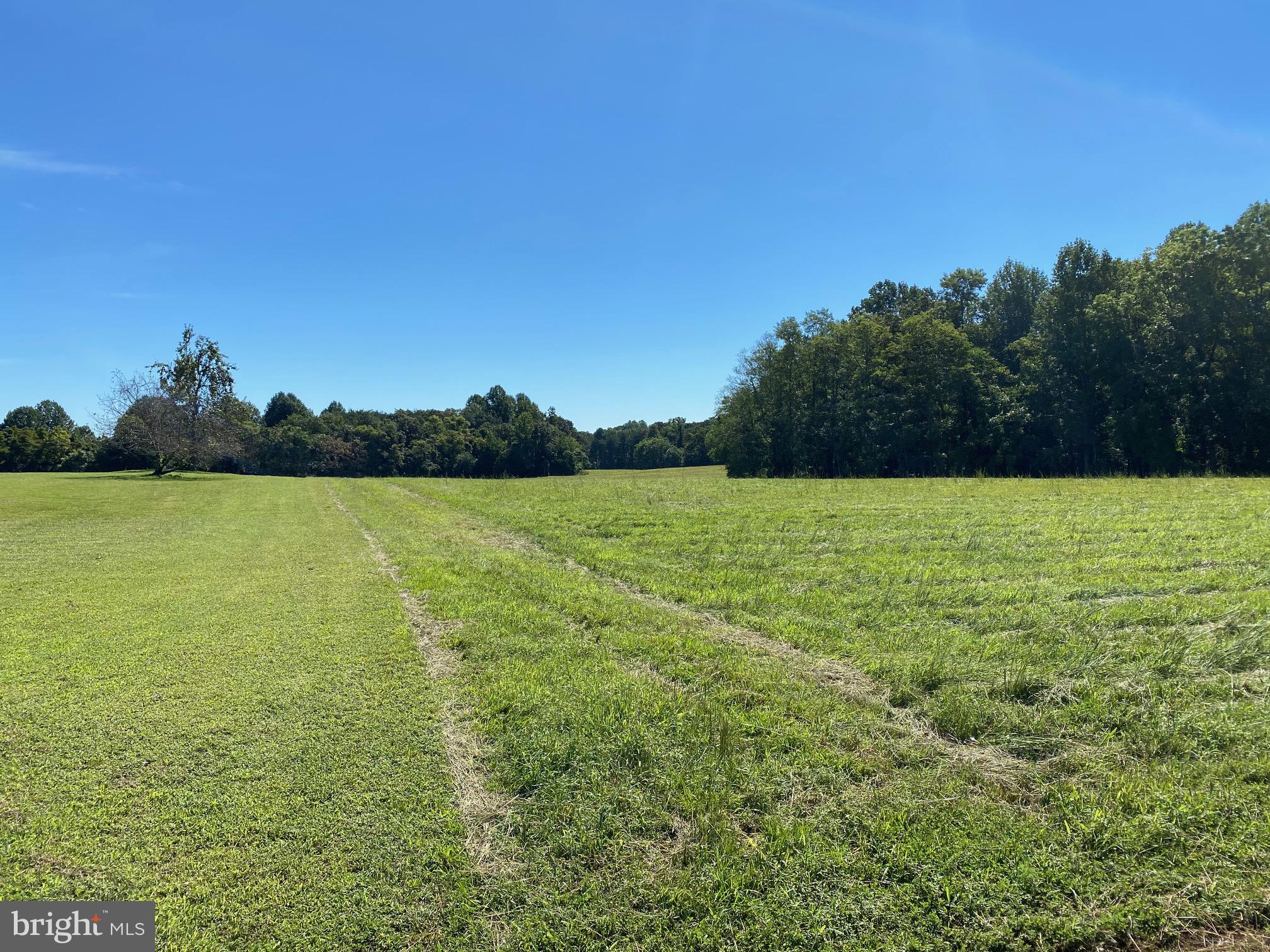 0 Locust Grove Road Bowling Green, VA 22427 - Photo 2 of 3