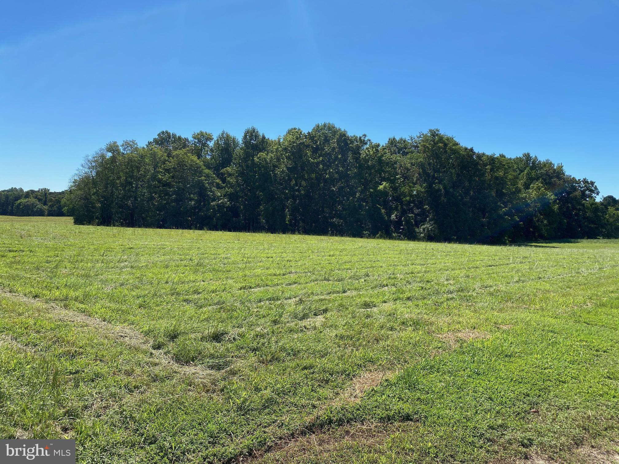 0 Locust Grove Road Bowling Green, VA 22427 - Photo 3 of 3