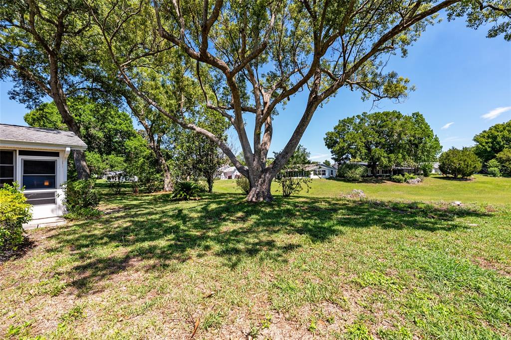 8038 Southwest 108th Loop Ocala, FL 34481 - Photo 34 of 48 a view of yard with tree s