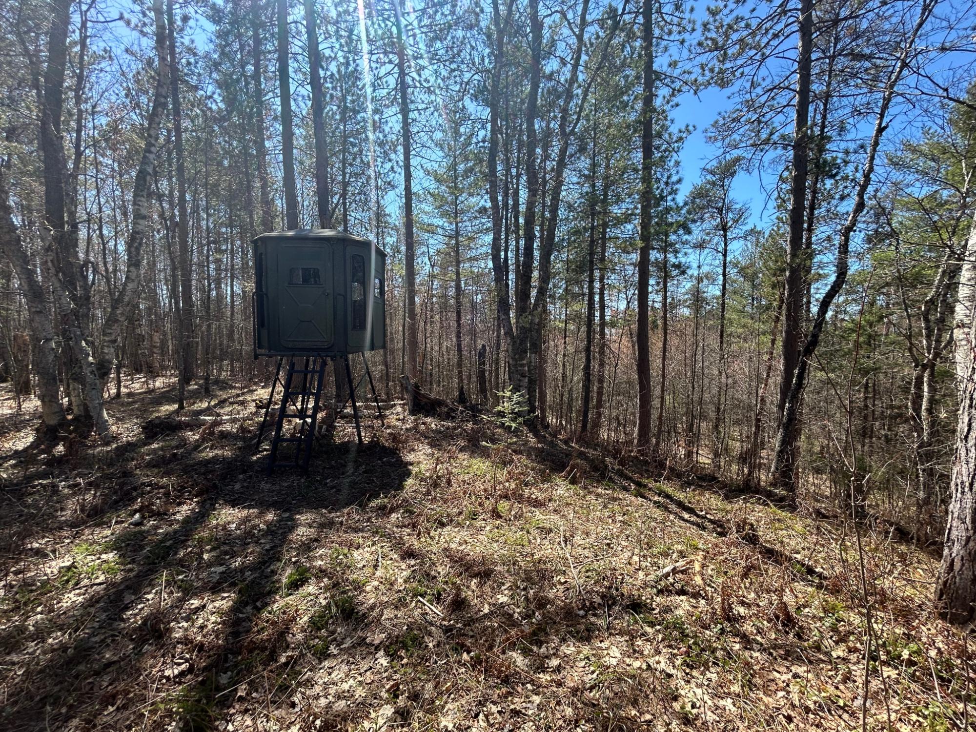 80-ac Off Razorback Road Conover, WI 54519 - Photo 6 of 19