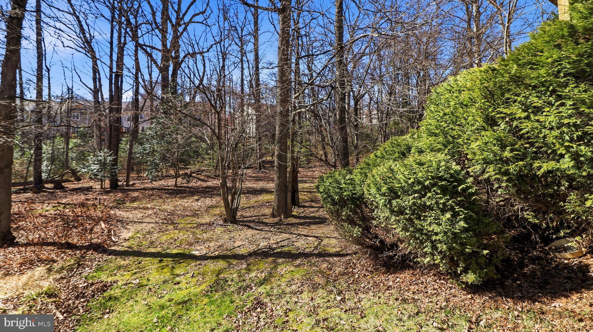 11417 Night Star Way Reston, VA 20194 - Photo 31 of 33