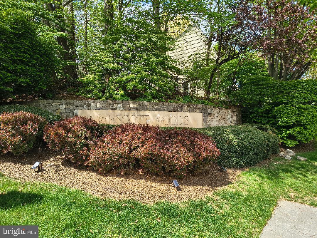 11417 Night Star Way Reston, VA 20194 - Photo 35 of 41 a view of a garden with a tree