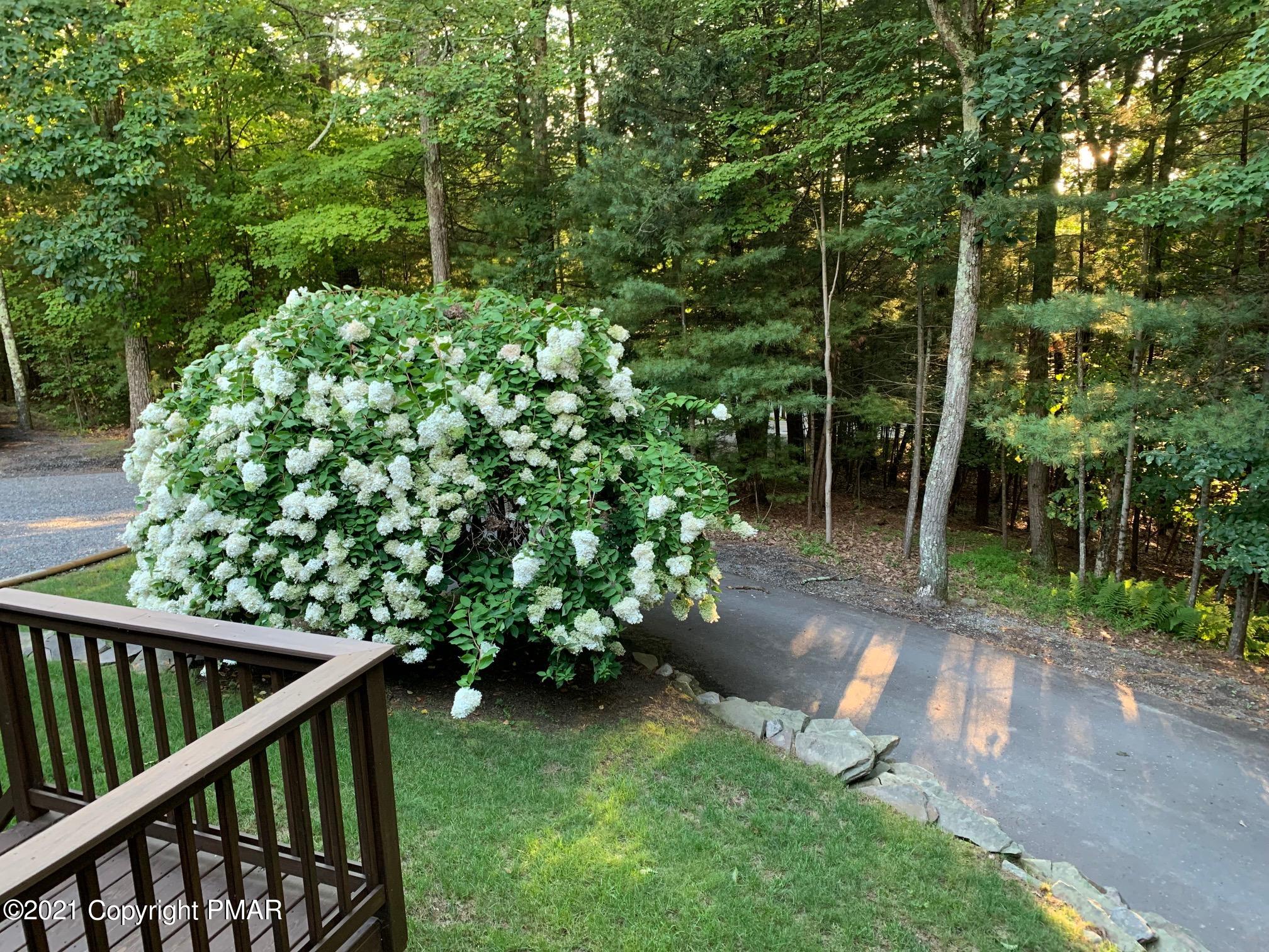 654 Long Mountain Road Effort, PA 18330 - Photo 34 of 35 Private Front Yard