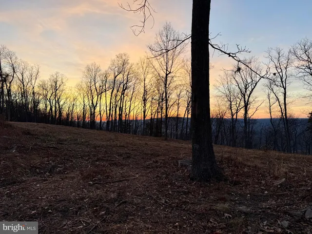 a view of backyard with green space