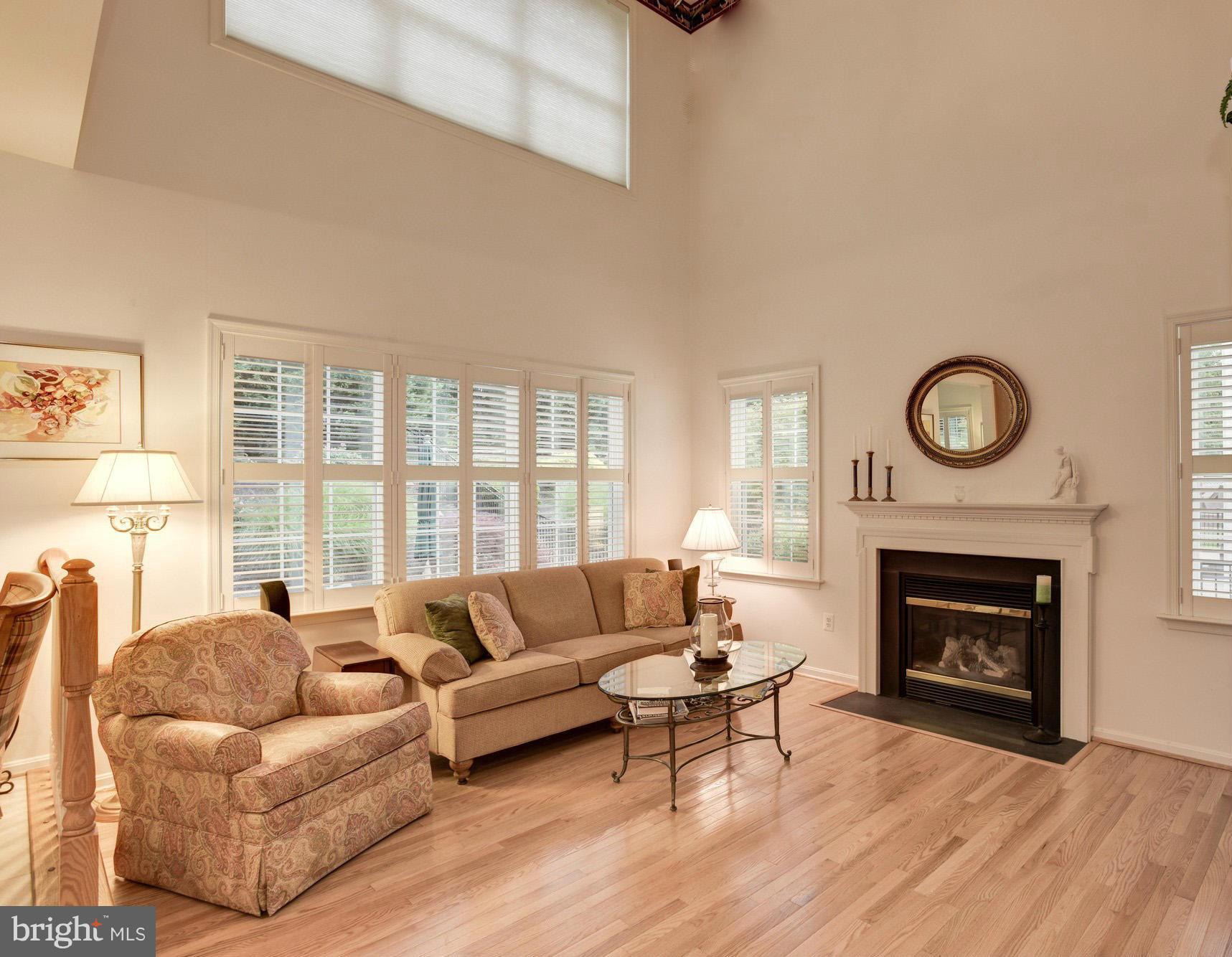 3923 Forest Valley Road Baltimore, MD 21234 - Photo 14 of 30 FAMILY ROOM WITH GAS FIREPLACE