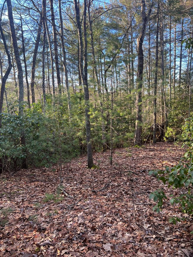 0 Lauren Road Murphy, NC 28906 - Photo 15 of 20 Gallery Image 15