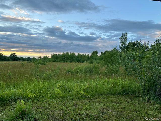 0 Division Road Yale, MI 48097 - Photo 4 of 5