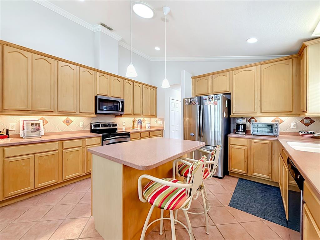 24044 Peekskill Street Leesburg, FL 34748 - Photo 23 of 59