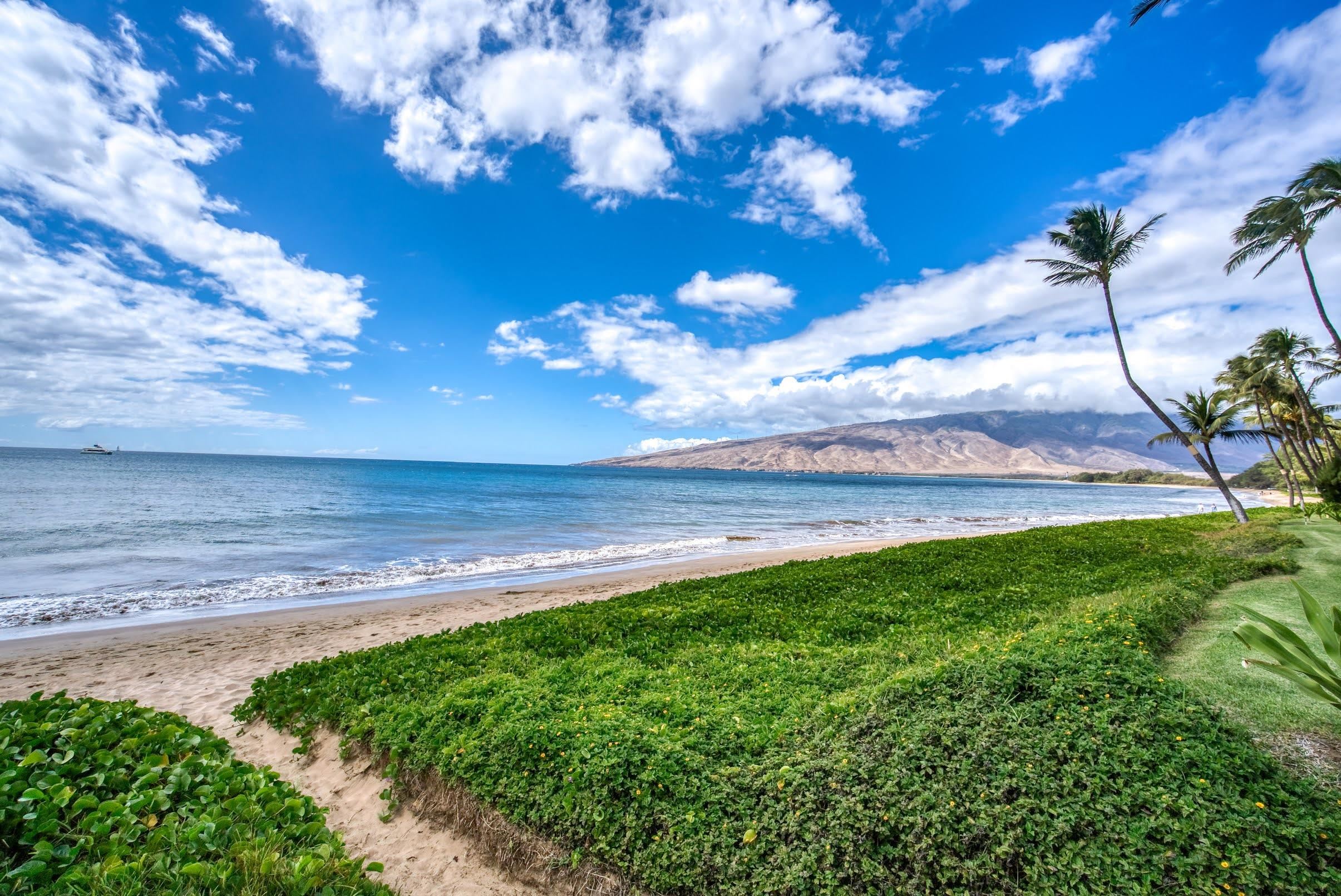 145 North Kihei Road, Unit 115 Kihei, HI 96753 - Photo 2 of 50