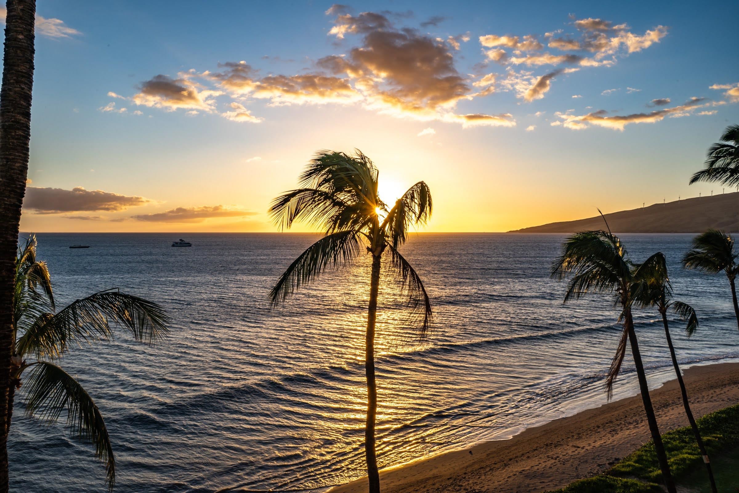 145 North Kihei Road, Unit 115 Kihei, HI 96753 - Photo 4 of 50