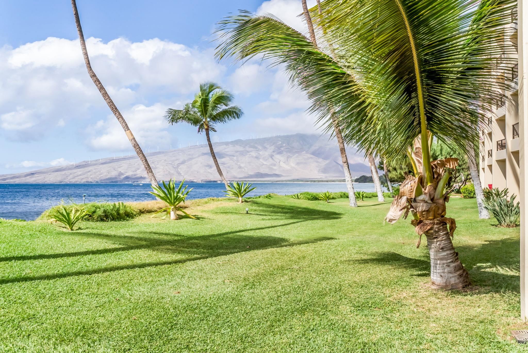 145 North Kihei Road, Unit 115 Kihei, HI 96753 - Photo 41 of 50