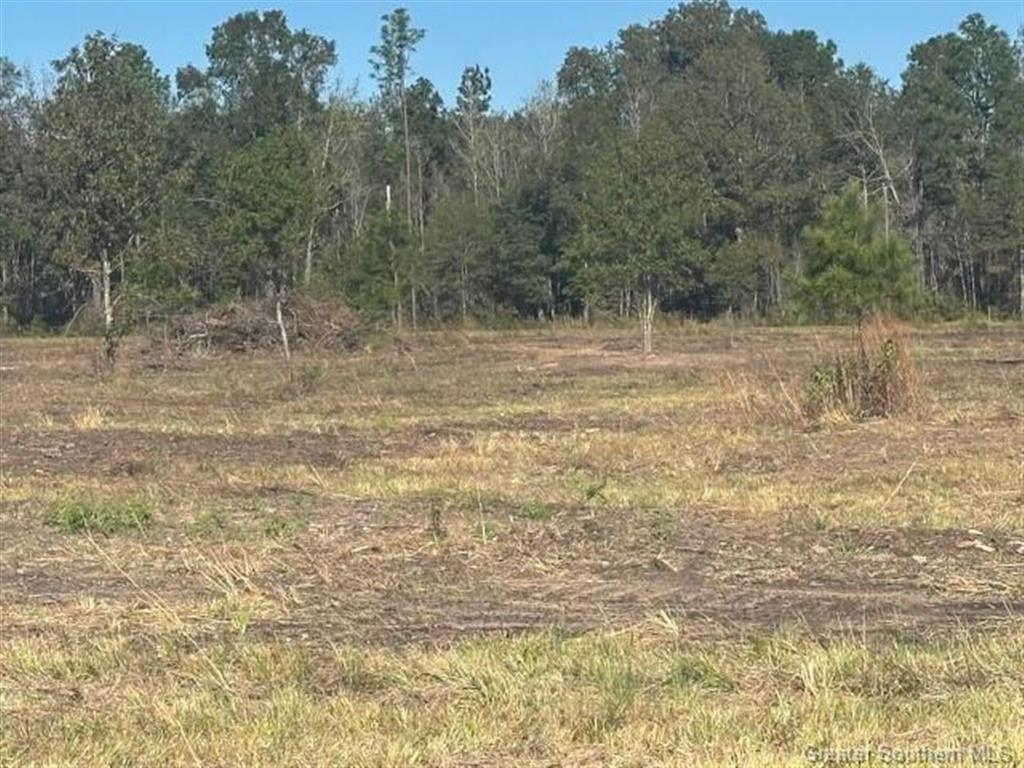 0 Conway Rosteet Road Longville, LA 70652 - Photo 11 of 19