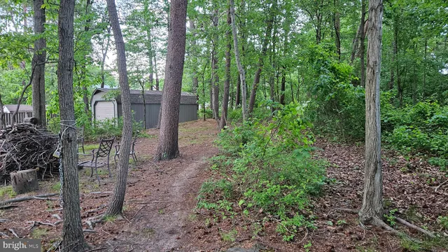a view of a garden with large trees