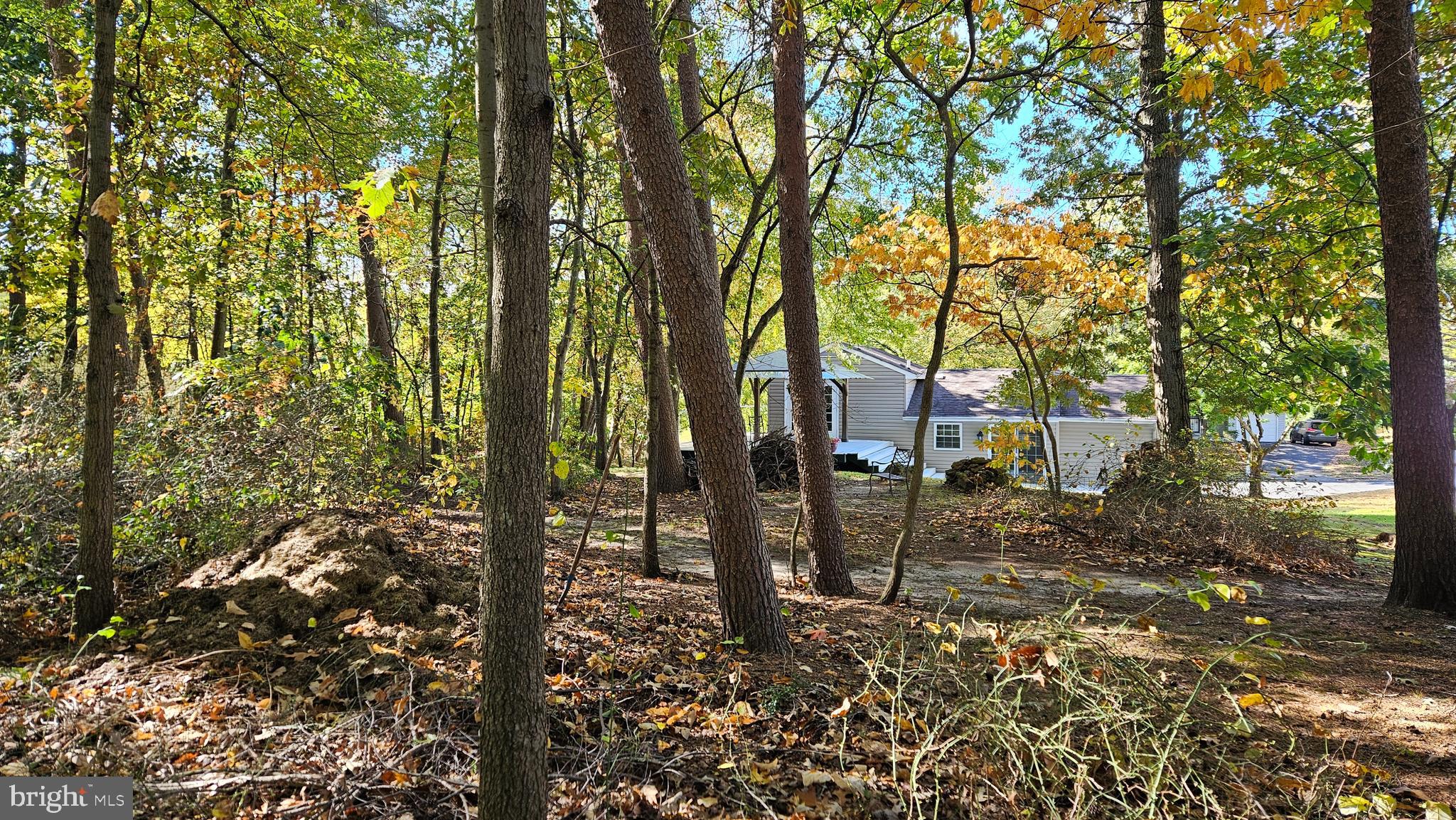 357 Council Oak Drive Severn, MD 21144 - Photo 34 of 37 a view of a forest filled with trees