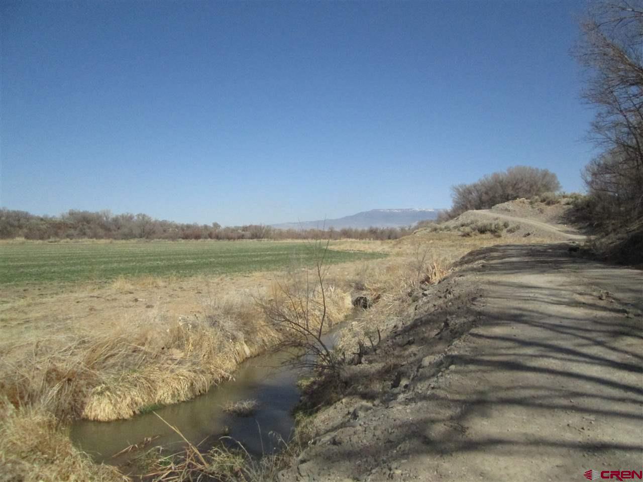 Tbd Begonia Road Olathe, CO 81416 - Photo 5 of 27 Gallery Image 5