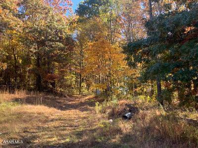 1280-1284 Knob Run Road Duncansville, PA 16635 - Photo 5 of 10 Gallery Image 5