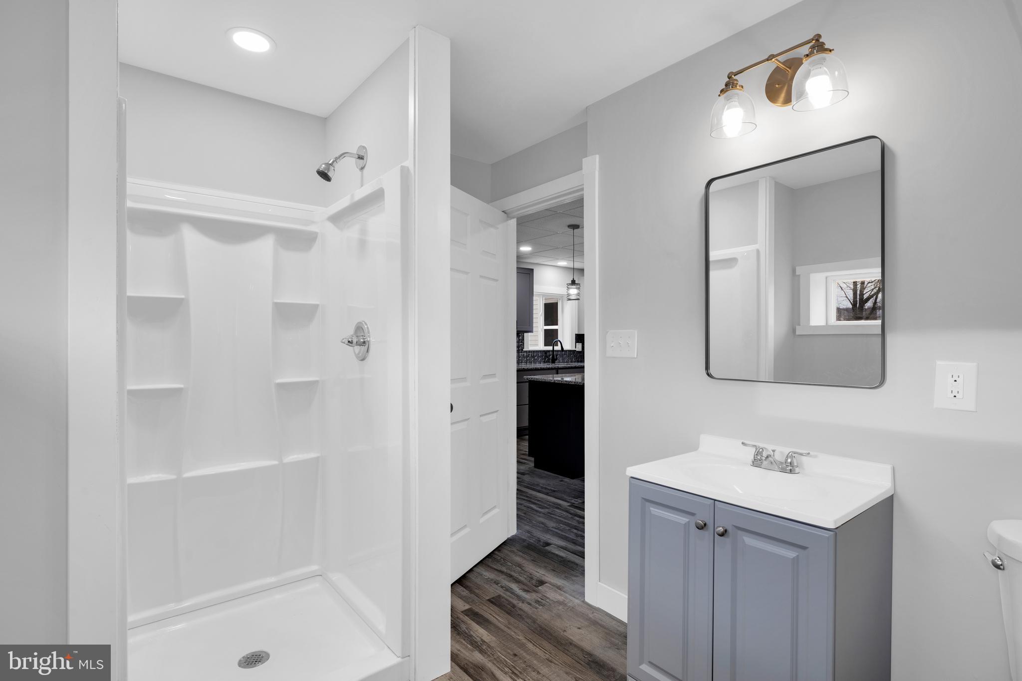 119 Heidelberg Avenue Reading, PA 19606 - Photo 11 of 36 a bathroom with a sink a mirror and a shower